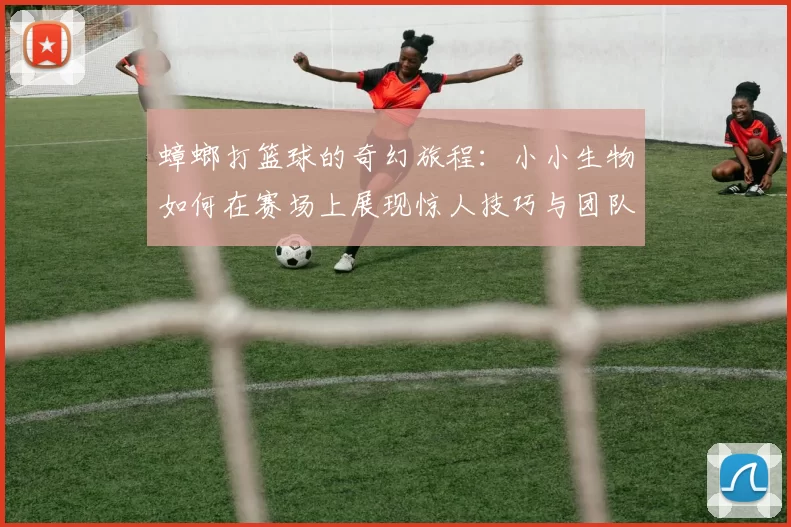 蟑螂打篮球的奇幻旅程：小小生物如何在赛场上展现惊人技巧与团队精神