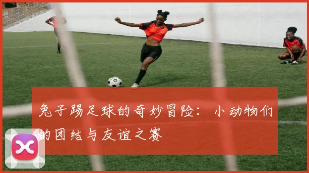 兔子踢足球的奇妙冒险：小动物们的团结与友谊之赛