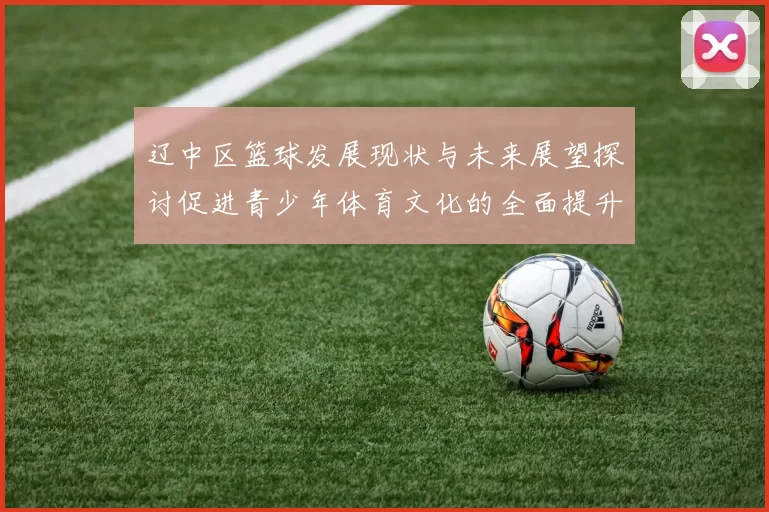 辽中区篮球发展现状与未来展望探讨促进青少年体育文化的全面提升